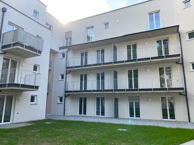 background Image WA Höller